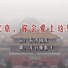 掩耳盗铃的动物是指什么生肖